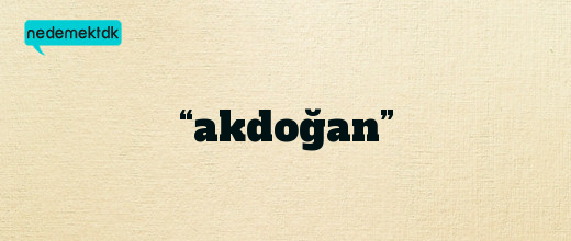 “akdoğan”