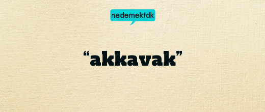 “akkavak”