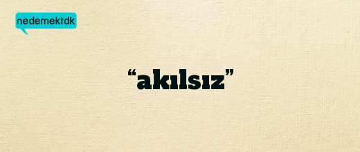 “akılsız”