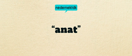 “anat”