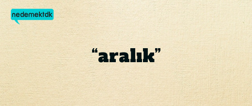 “aralık”