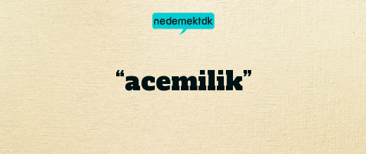 “acemilik”