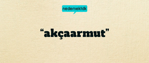 “akçaarmut”