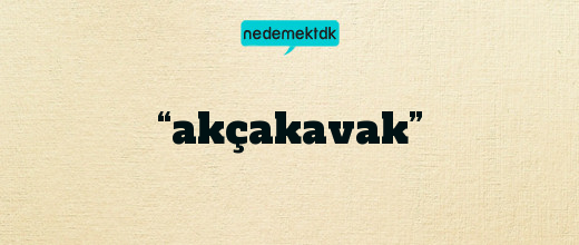 “akçakavak”