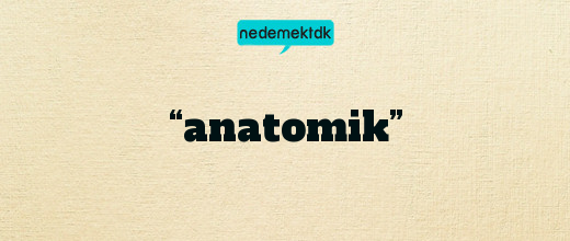 “anatomik”