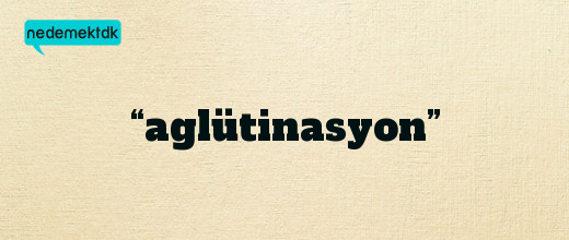 “aglütinasyon”