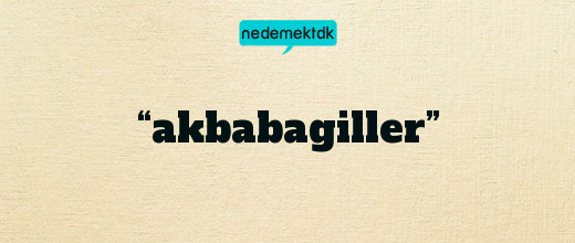 “akbabagiller”