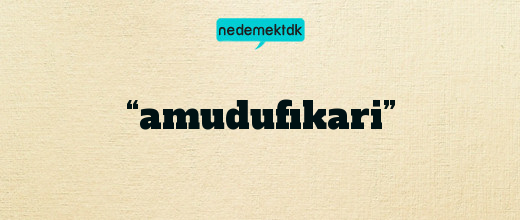 “amudufıkari”