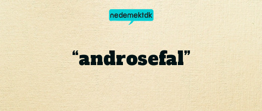 “androsefal”