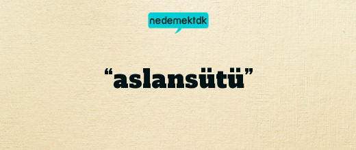 “aslansütü”