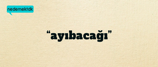 “ayıbacağı”