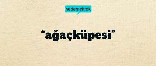 “ağaçküpesi”