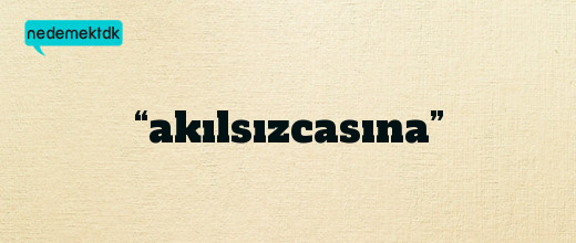 “akılsızcasına”