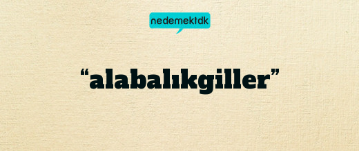 “alabalıkgiller”