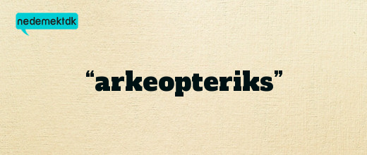 “arkeopteriks”