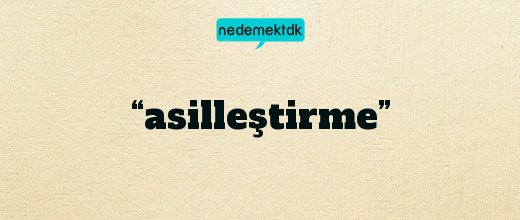 “asilleştirme”