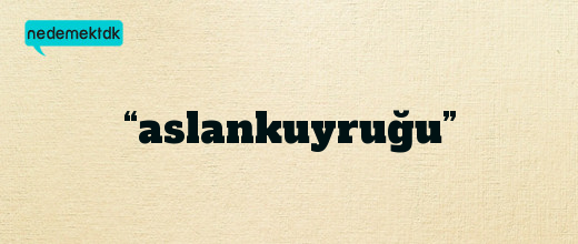 “aslankuyruğu”