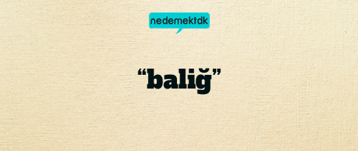 “baliğ”