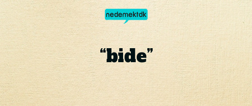 “bide”