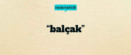 “balçak”