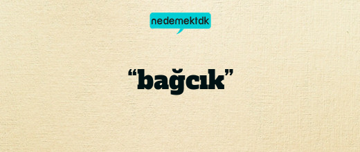 “bağcık”