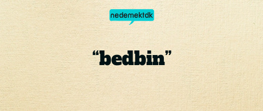 “bedbin”