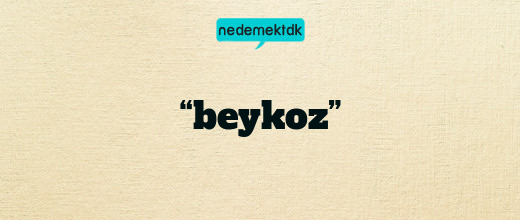 “beykoz”