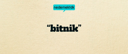 “bitnik”