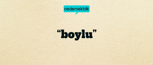 “boylu”