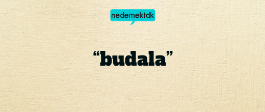 “budala”