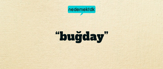 “buğday”