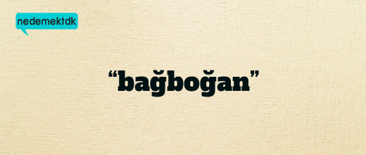 “bağboğan”