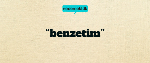 “benzetim”