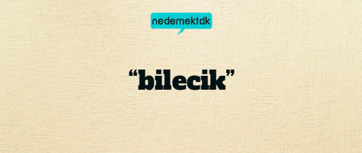 “bilecik”