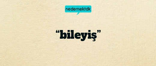 “bileyiş”