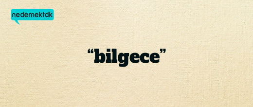 “bilgece”