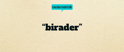 “birader”