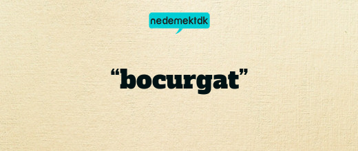 “bocurgat”