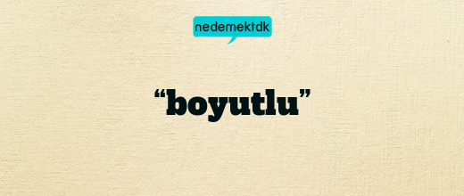 “boyutlu”