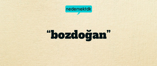 “bozdoğan”