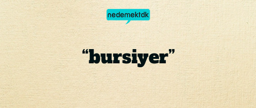 “bursiyer”