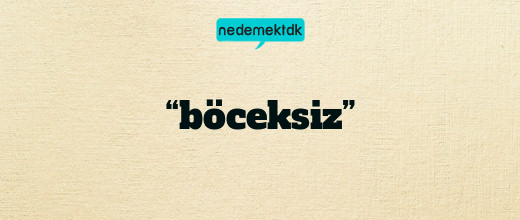 “böceksiz”