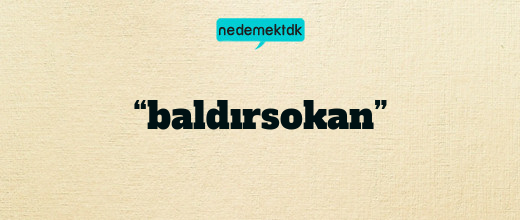 “baldırsokan”