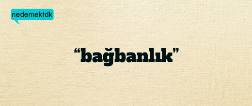 “bağbanlık”