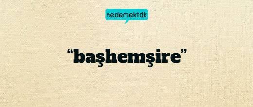 “başhemşire”