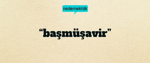 “başmüşavir”