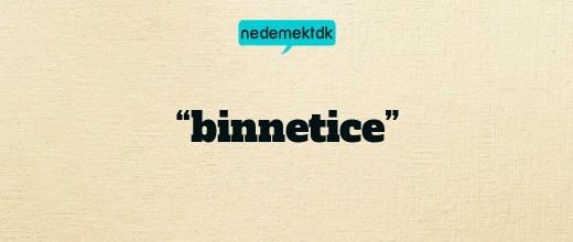 “binnetice”