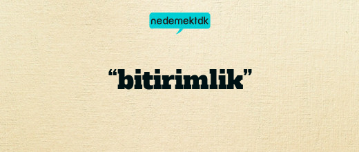 “bitirimlik”