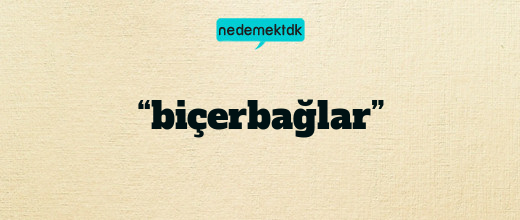 “biçerbağlar”