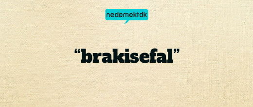 “brakisefal”